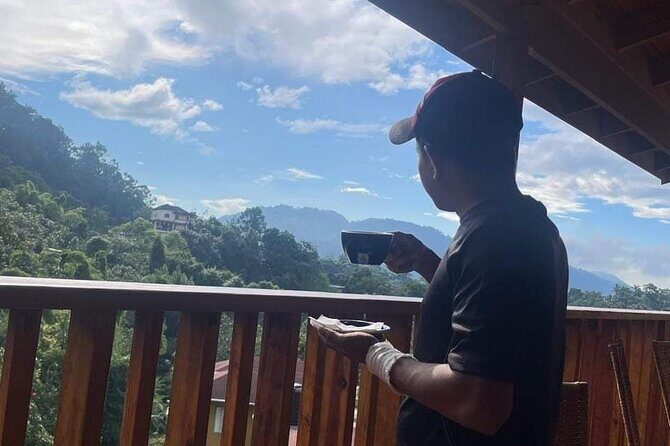 Blue Mountain Highlights Experience - Pricing & Value