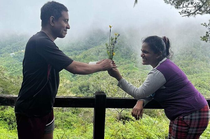 Blue Mountain Highlights Experience - The Sum Up: Who Will Love This Tour?