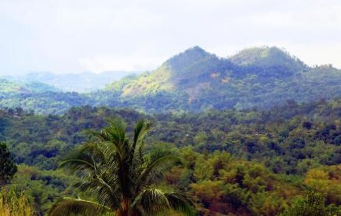 Blue Mountain Peak Hiking Tour From Kingston - Location and Duration