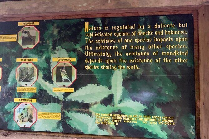 Blue Mountain Peek, and Site Seeing - Final Words