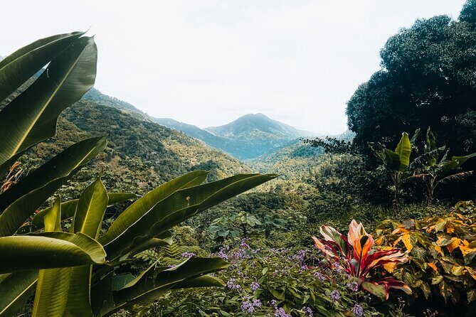 Blue Mountain Private Tour in Jamaica - Final Thoughts