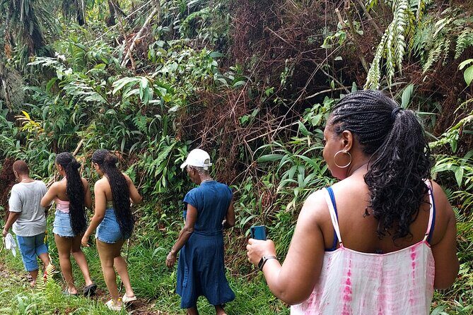 Blue Mountain Sight-Seeing & Nature Trail Hike with Private Guide - Good To Know  