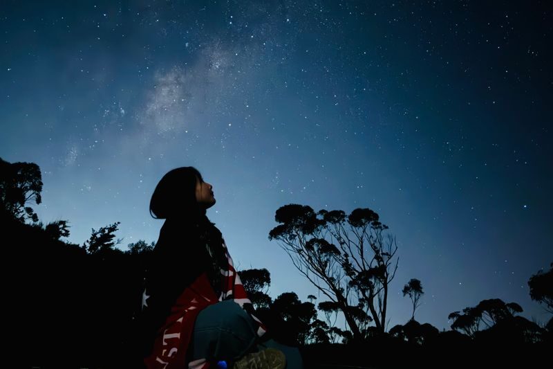 Blue Mountain Sunset & Stargazing tour with Featherdale Zoo - The highlights at a glance