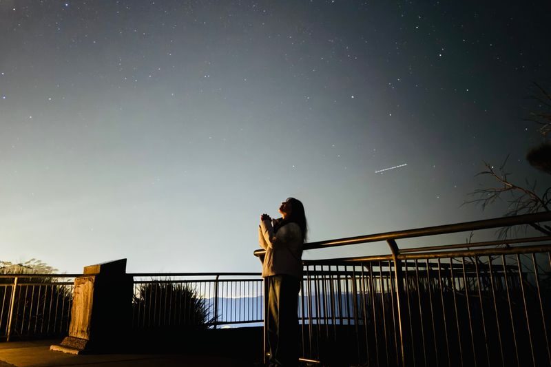 Blue Mountain Sunset & Stargazing tour with Featherdale Zoo - From Sydney to Featherdale’s close-up wildlife