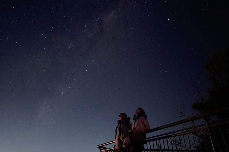 Blue Mountain Sunset & Stargazing tour with Featherdale Zoo - Katoomba dinner, with the bill separate