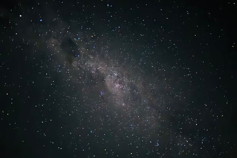 Blue Mountain Sunset & Stargazing tour with Featherdale Zoo - What the Korean-language format means