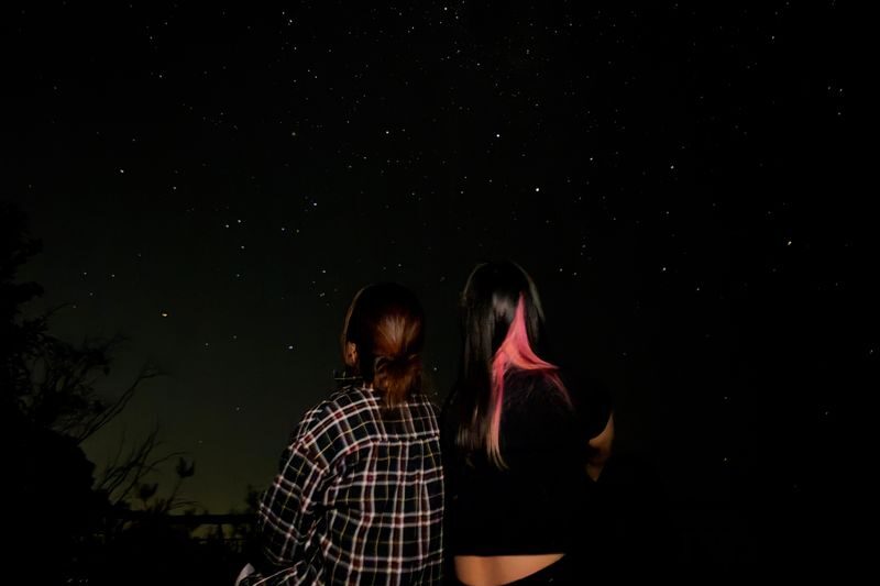 Blue Mountain Sunset & Stargazing tour with Featherdale Zoo - Who should book this Blue Mountains evening?