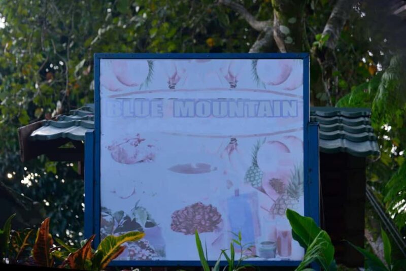 Blue Mountain Tour: A Half-Day Escape from Kingston - Exploring the Kingston to Blue Mountains Journey