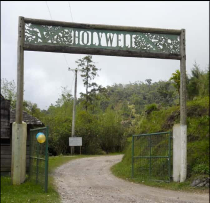 Blue Mountain Tour: A Half-Day Escape from Kingston - Practical Details and Experience Quality