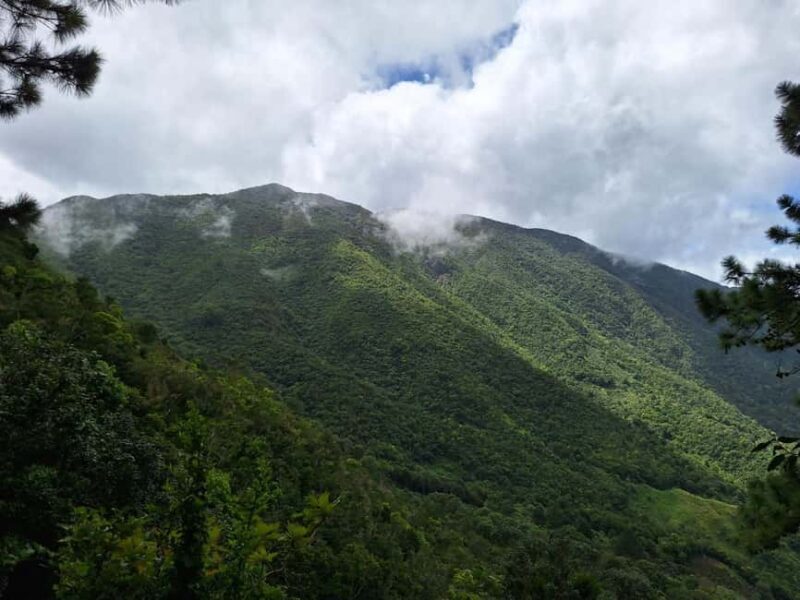 Blue Mountain Tour: A Half-Day Escape from Kingston - FAQ