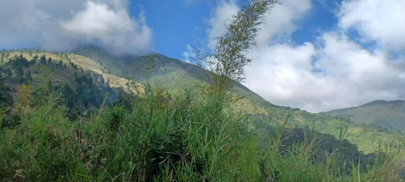 BLUE MOUNTAIN TOUR FROM OCHO RIOS - Good To Know  