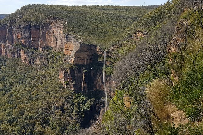 Blue Mountains 1-Hour Trike Tour of Three Sisters - Accessibility and Safety Requirements