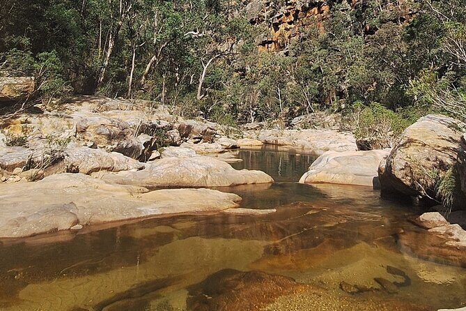 Blue Mountains 3 Hour Guided Eco Tour - close to Sydney - Good To Know
