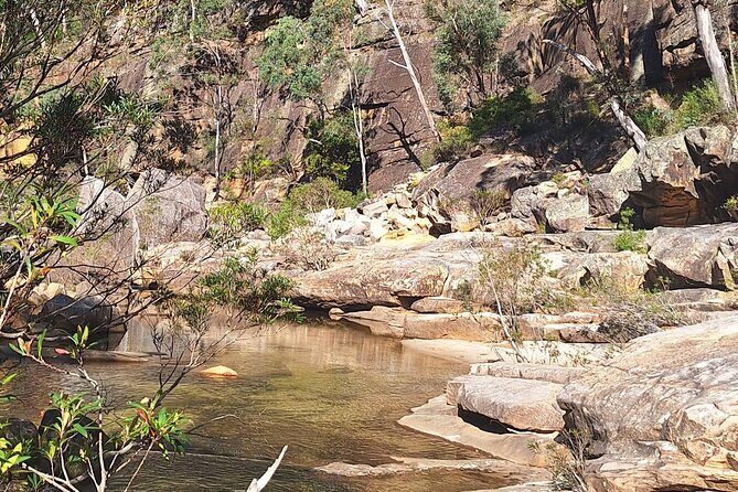 Blue Mountains 3 Hour Guided Eco Tour - close to Sydney - Exploring Glenbrook Gorge: A Nature Lover’s Dream