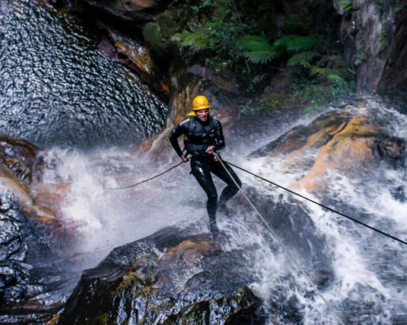 Blue Mountains: Abseiling and Canyoning Experience - An In-Depth Look at the Blue Mountains Abseiling and Canyoning Tour
