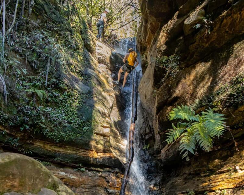 Blue Mountains: Abseiling and Juggler Canyon Adventure Tour - Who Will Enjoy This Tour?