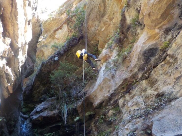 Blue Mountains: Abseiling or Canyoning Experience - Duration and Group Size Information
