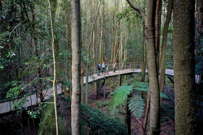 Blue Mountains Adventure Day Tour - Katoomba Cascades adds a waterfall walk