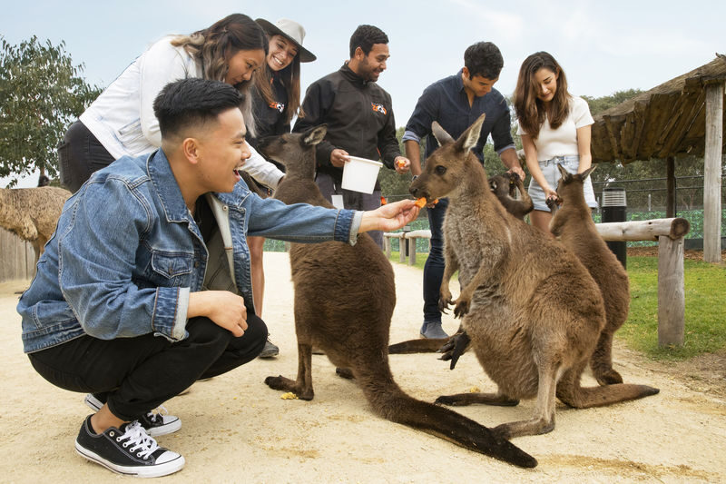 Blue Mountains Adventure Day Tour - The ferry ride is a fitting finish