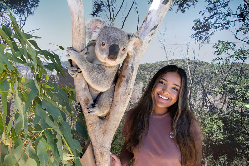 Blue Mountains Adventure Day Tour - Is the price worth it?