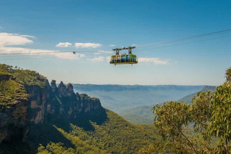 Blue Mountains Adventure: Scenic World, Zoo & Koala Photo - Good To Know