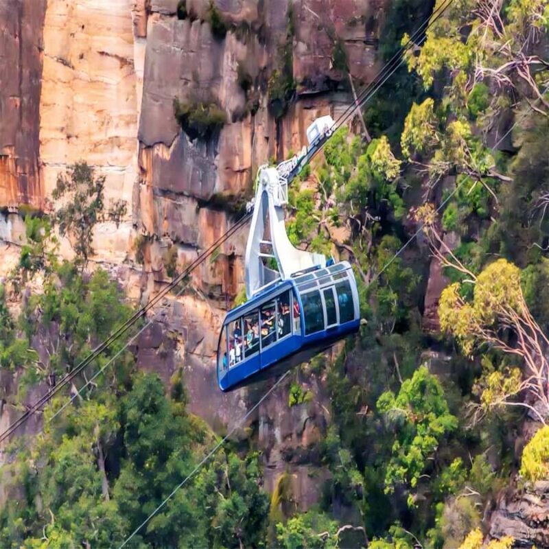 Blue Mountains Adventure: Wild Boar Rock & Cable Car - Good To Know