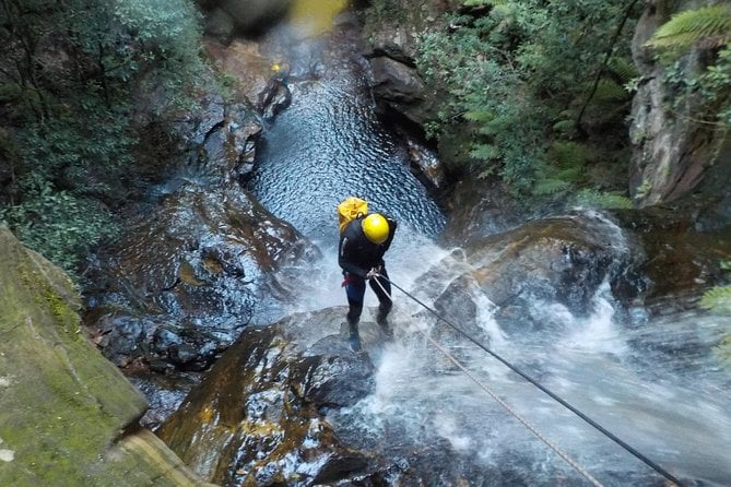 Blue Mountains and Empress Canyon Abseiling Adventure Tour - Meeting and Pickup