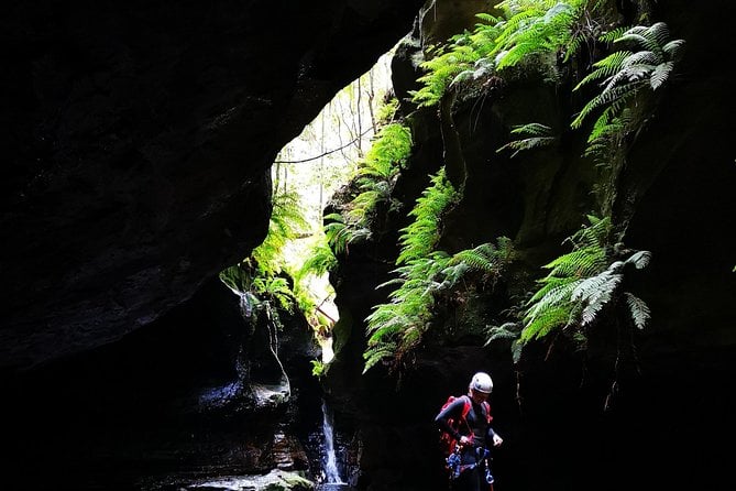 Blue Mountains and Empress Canyon Abseiling Adventure Tour - Expectations and Requirements