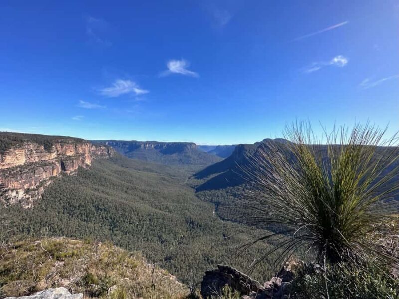 Blue Mountains: Butterbox Point Guided Hike - Good To Know