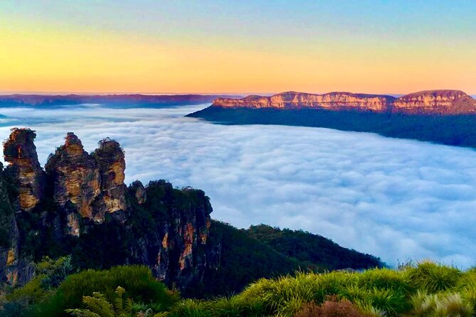 Blue Mountains Day Adventure, Featherdale Wildlife & River Cruise - Featherdale Wildlife Park