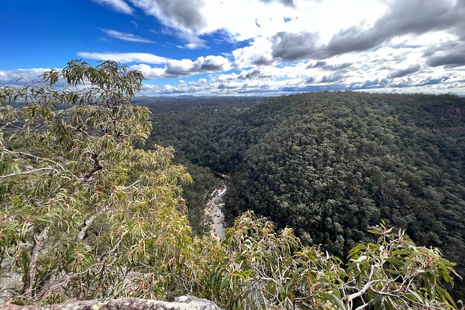 Blue Mountains Day Adventure, Featherdale Wildlife & River Cruise - Blue Mountains River Cruise