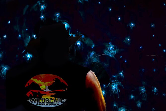 Blue Mountains Day, Sunset Tour & Glow Worms Night Adventure - Inclusions and Activities