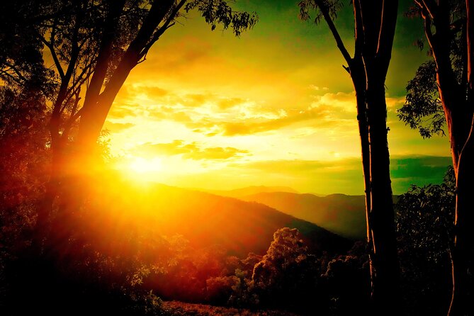 Blue Mountains Day, Sunset Tour & Glow Worms Night Adventure - Booking and Cancellation Policy
