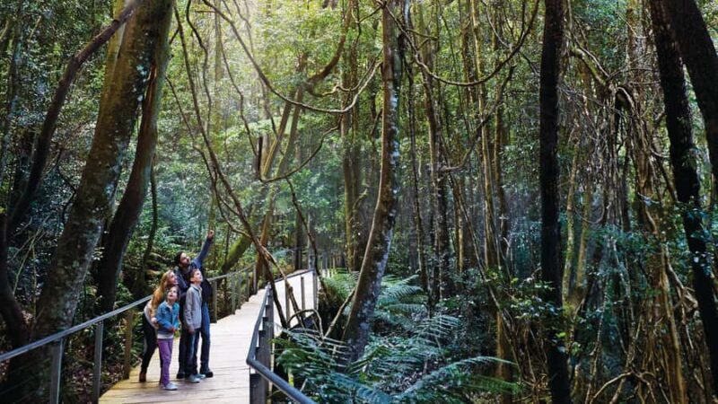 Blue Mountains Day Tour -Featherdale & Scenic World (15 MAX) - The Experience: What to Expect & Why It Matters