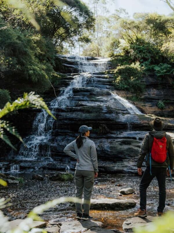 Blue Mountains Day Tour -Featherdale & Scenic World (15 MAX) - FAQ: Practical Questions About the Tour