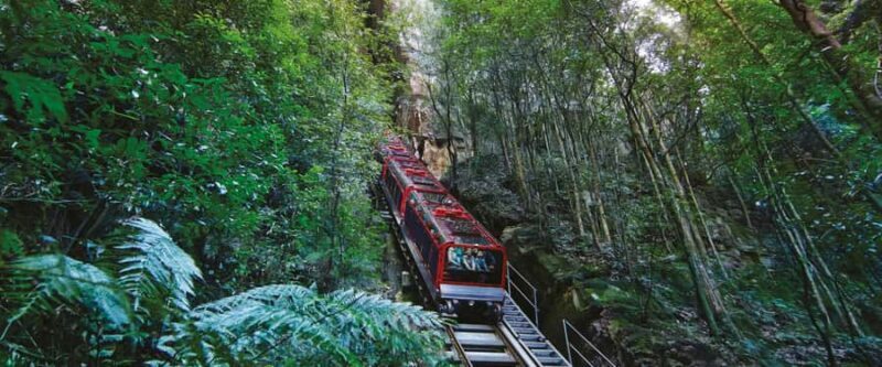 Blue Mountains Day Tour -Featherdale & Scenic World (15 MAX) - Final Thoughts