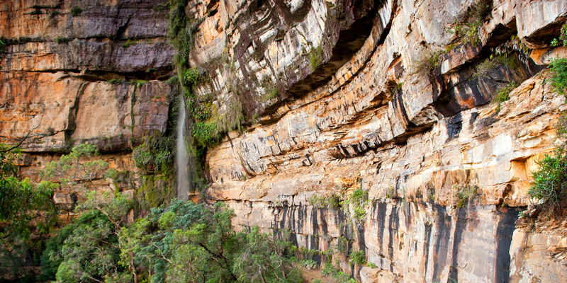 Blue Mountains Day Tour from Sydney - Guides, commentary and language support