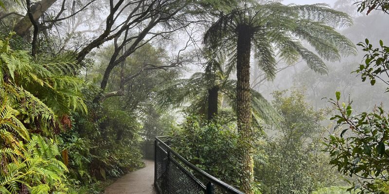 Blue Mountains Day Tour from Sydney - What the price includes, and what it doesn’t