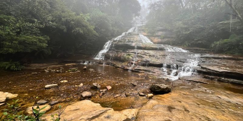Blue Mountains Day Tour from Sydney - Should you book the Blue Mountains day tour?