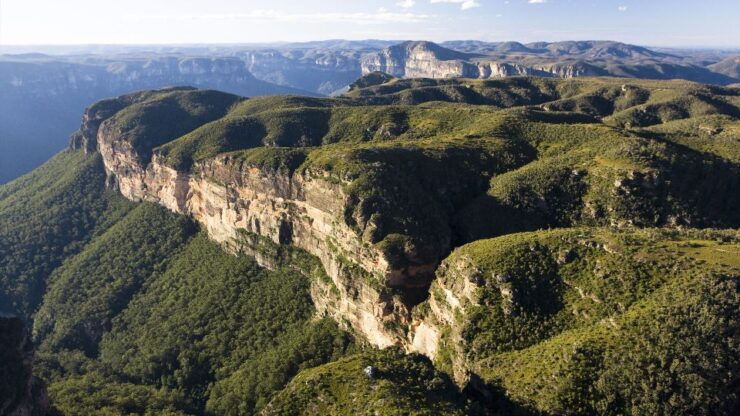 Blue Mountains Day Tour: Wildlife Park, Lunch & Bushwalks - Tour Inclusions