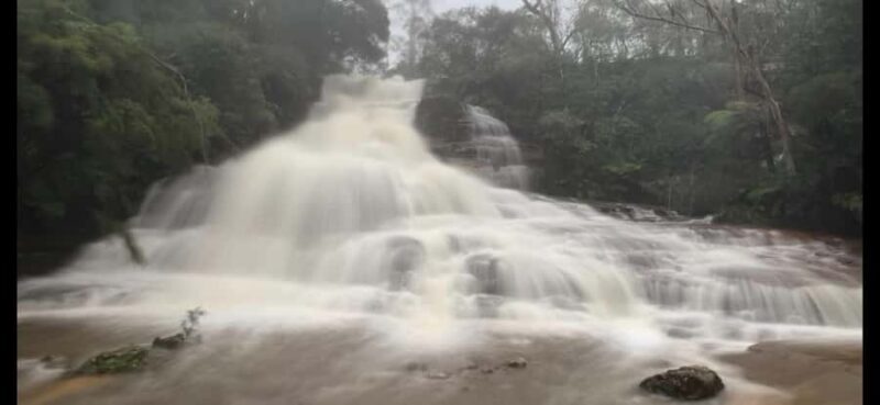 Blue Mountains day tour with Cruise, Scenic world pass & Zoo - Practical Considerations