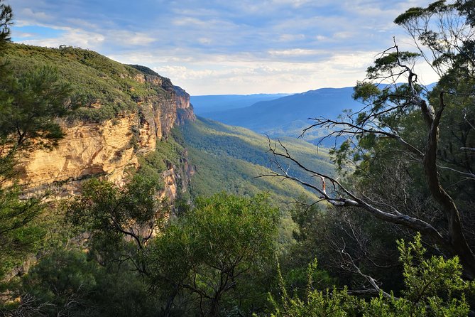 Blue Mountains Day Tour With Wildlife at Sunset From Sydney - Adjusted Itinerary and Weather