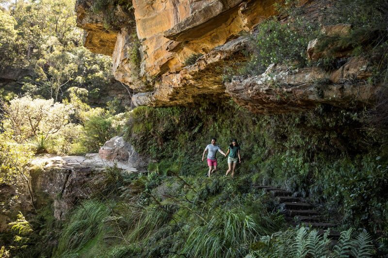 Blue Mountains Day Tours - The Wentworth Falls walk asks more of your legs