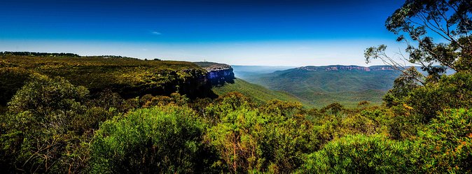 Blue Mountains Deluxe Small-Group Eco Wildlife Tour From Sydney - Cancellation Policy and Reviews