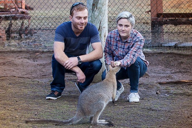 Blue Mountains Deluxe Small-Group Eco Wildlife Tour From Sydney - Lack of Guide Information Feedback