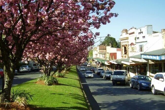 Blue Mountains Exclusive Private Tour - Katoomba Falls: Nature’s Tranquil Canvas