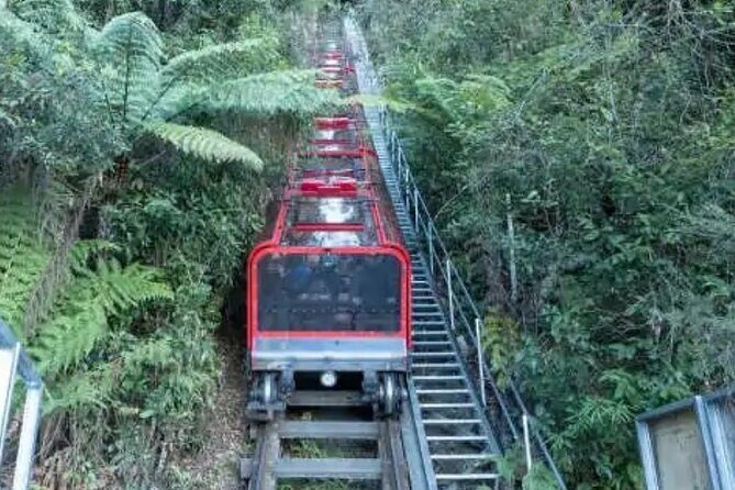 Blue Mountains Exclusive Private Tour - Cahill’s Lookout: A Quiet End to the Day