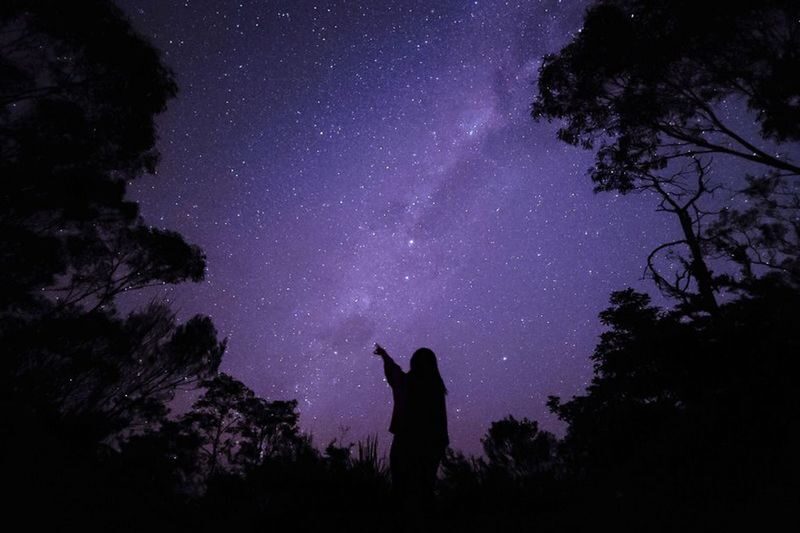 Blue Mountains & Featherdale Sydney Wildlife Park One-day Sunset & National Park Tour - Key points before you book