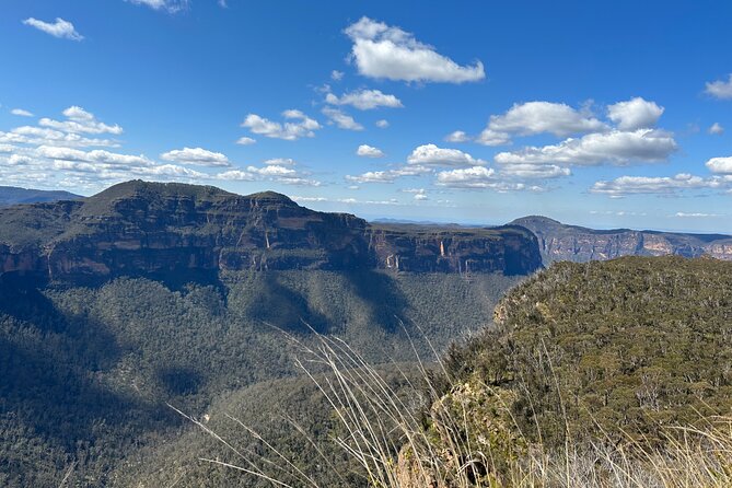 Blue Mountains Full Day Guided Tour - The Sum Up