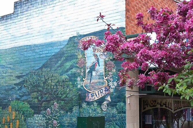 Blue Mountains Half Day Experience with Scenic World and Lookouts - FAQ